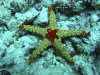 isole maldive foto photo informazioni consigli utili bathala resort isola di bathalaa atollo di ari nord by Fabione nel febbraio 2006