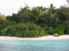 >isole maldive fotografie informazioni consigli utili bathala resort isola di bathalaa atollo di ari nord by Romina nel marzo 2006