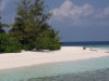 >isole maldive fotografie informazioni consigli utili bathala resort isola di bathalaa atollo di ari nord by Romina nel marzo 2006