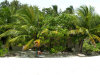 bathala_spiaggia 7.jpg (76104 byte)