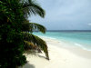 bathala_spiaggia 8.jpg (70795 byte)