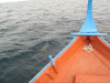 isole maldive fotografie sub e snorkelling da video informazioni consigli utili bathala resort isola di bathalaa atollo di ari nord by Claudia&Dario di www.tuttomaldive.it gruppo luglio 2006