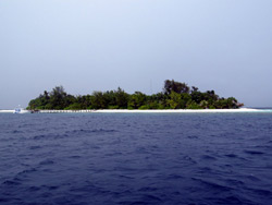 isole maldive fotografie informazioni consigli utili bathala resort isola di bathalaa atollo di ari nord by Claudia&Dario di www.tuttomaldive.it gruppo luglio 2006