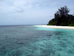 isole maldive fotografie informazioni consigli utili bathala resort isola di bathalaa atollo di ari nord by Claudia&Dario di www.tuttomaldive.it gruppo luglio 2006