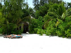isole maldive fotografie informazioni consigli utili bathala resort isola di bathalaa atollo di ari nord by Claudia&Dario di www.tuttomaldive.it gruppo luglio 2006