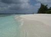 IMG_1578.jpg (55647 byte)