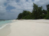 IMG_1580.jpg (54508 byte)