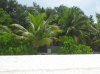 isole maldive fotografie spiaggia nord-ovest informazioni consigli utili bathala resort isola di bathalaa atollo di ari nord by Claudia&Dario di www.tuttomaldive.it gruppo novembre 2006