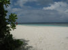 IMG_1589.jpg (60454 byte)