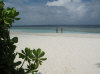 isole maldive fotografie spiaggia nord-ovest informazioni consigli utili bathala resort isola di bathalaa atollo di ari nord by Claudia&Dario di www.tuttomaldive.it gruppo novembre 2006