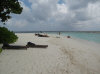 isole maldive fotografie spiaggia sud-est informazioni consigli utili bathala resort isola di bathalaa atollo di ari nord by Claudia&Dario di www.tuttomaldive.it gruppo novembre 2006