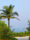 fotografie video informazioni consigli utili offerte viaggio isole maldive bodu huraa island resort isola di boduhuraa atollo di male sud gennaio 2008 Debora Simone Fabio utente forum maldive debora69