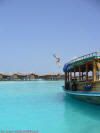 fotografie video informazioni consigli utili offerte viaggio isole maldive bodu huraa island resort isola di boduhuraa atollo di male sud gennaio 2008 Debora Simone Fabio utente forum maldive debora69