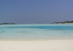 fotografie video informazioni consigli utili offerte viaggio isole maldive bodu huraa island resort isola di boduhuraa atollo di male sud gennaio 2008 Debora Simone Fabio utente forum maldive debora69