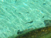 isole maldive : fotografie video informazioni notizie utili e consigli bolifushi island resort isola di bolifushi atollo di male sud maggio 2007 by Sara&Fabio