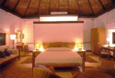 Coco Palm interno camera Beach Villas