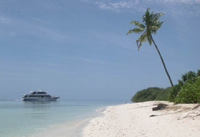crociera conte max isole maldive foto photo informazioni barca conte max yacht boat tour operator albatros top boat by Claudia&Dario di www.tuttomaldive.it