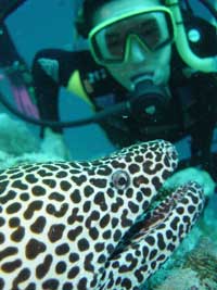 crociera maldive conte max  boat foto subacquea di Diego Zantedeschi - capo barca