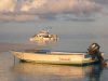 isole maldive novembre-dicembre 2003: crociera safari Maavahi boat con Albatros Top Boat By Claudia&Dario di www.tuttomaldive.it