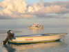 isole maldive novembre-dicembre 2003: crociera safari Maavahi boat con Albatros Top Boat By Claudia&Dario di www.tuttomaldive.it
