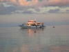isole maldive novembre-dicembre 2003: crociera safari Maavahi boat con Albatros Top Boat By Claudia&Dario di www.tuttomaldive.it