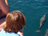isole maldive novembre-dicembre 2003: crociera safari Maavahi boat con Albatros Top Boat By Claudia&Dario di www.tuttomaldive.it : branchi di delfini