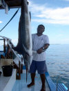 isole maldive novembre-dicembre 2003: crociera safari Maavahi boat con Albatros Top Boat By Claudia&Dario di www.tuttomaldive.it : la pesca del marlin