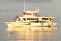 isole Maldive novembre-dicembre 2003: Crociera Safari Maavahi boat con Albatros Top Boat 