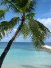 isole maldive foto informazioni consigli utili dhiggiri sea club isola di dhiggiri atollo di felidhoo giugno 2005 by Silvia&Gianluca : spiaggia