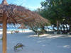 isole maldive foto informazioni consigli utili dhiggiri sea club isola di dhiggiri atollo di felidhoo giugno 2005 by Silvia&Gianluca : ombrellone