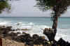 foto gallery co-bar surf informazioni consigli utili isole maldive dhonveli resort isola di kanu huraa atollo di male nord maggio 2004 by Claudia&Dario di www.tuttomaldive.it