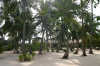 foto gallery garden villas informazioni consigli utili isole maldive dhonveli resort isola di kanu huraa atollo di male nord maggio 2004 by Claudia&Dario di www.tuttomaldive.it