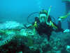 foto gallery immersioni diving albatros top diving informazioni consigli utili isole maldive dhonveli resort isola di kanu huraa atollo di male nord maggio 2004 by Claudia&Dario di www.tuttomaldive.it