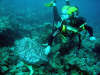 foto gallery immersioni diving albatros top diving informazioni consigli utili isole maldive dhonveli resort isola di kanu huraa atollo di male nord maggio 2004 by Claudia&Dario di www.tuttomaldive.it