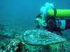 foto gallery immersioni diving albatros top diving informazioni consigli utili isole maldive dhonveli resort isola di kanu huraa atollo di male nord maggio 2004 by Claudia&Dario di www.tuttomaldive.it