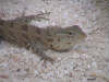 foto photo informazioni consigli utili isole maldive dhonveli resort isola di kanu huraa atollo di male nord aprile 2005 by Marina Silvia Paola e Stefano