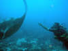 foto photo informazioni consigli utili isole maldive dhonveli resort isola di kanu huraa atollo di male nord aprile 2005 by Marina Silvia Paola e Stefano
