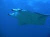 foto photo informazioni consigli utili isole maldive dhonveli resort isola di kanu huraa atollo di male nord aprile 2005 by Marina Silvia Paola e Stefano