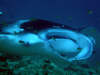 foto photo informazioni consigli utili isole maldive dhonveli resort isola di kanu huraa atollo di male nord aprile 2005 by Marina Silvia Paola e Stefano