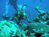 foto photo informazioni consigli utili isole maldive dhonveli resort isola di kanu huraa atollo di male nord aprile 2005 by Marina Silvia Paola e Stefano