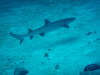 foto photo informazioni consigli utili isole maldive dhonveli resort isola di kanu huraa atollo di male nord aprile 2005 by Marina Silvia Paola e Stefano