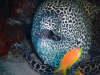 foto photo informazioni consigli utili isole maldive dhonveli resort isola di kanu huraa atollo di male nord aprile 2005 by Marina Silvia Paola e Stefano