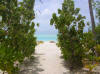 maldive fotografie informazioni consigli utili isole maldive dhonveli resort isola di kanu huraa atollo di male nord Agosto 2006 racconto di Paolo e Angelica