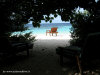 fotografie bungalow superior video informazioni notizie e consigli utili isole maldive eriyadu island resort isola di eriyadhoo atollo di male nord by Claudia&Dario di www.tuttomaldive.it gruppo luglio 2008