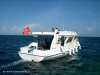 fotografie diving euro divers video informazioni notizie e consigli utili isole maldive eriyadu island resort isola di eriyadhoo atollo di male nord by Claudia&Dario di www.tuttomaldive.it gruppo luglio 2008