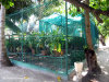 fotografie interno isola, aree comuni, palestra, spa e reception video informazioni notizie e consigli utili isole maldive eriyadu island resort isola di eriyadhoo atollo di male nord by Claudia&Dario di www.tuttomaldive.it gruppo luglio 2008