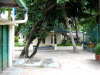 fotografie interno isola, aree comuni, palestra, spa e reception video informazioni notizie e consigli utili isole maldive eriyadu island resort isola di eriyadhoo atollo di male nord by Claudia&Dario di www.tuttomaldive.it gruppo luglio 2008