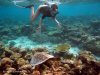 fotografie snorkelling video informazioni notizie e consigli utili isole maldive eriyadu island resort isola di eriyadhoo atollo di male nord by Claudia&Dario di www.tuttomaldive.it gruppo luglio 2008