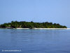 fotografie spiagge nord video informazioni notizie e consigli utili isole maldive eriyadu island resort isola di eriyadhoo atollo di male nord by Claudia&Dario di www.tuttomaldive.it gruppo luglio 2008