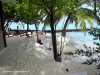 fotografie spiagge sud video informazioni notizie e consigli utili isole maldive eriyadu island resort isola di eriyadhoo atollo di male nord by Claudia&Dario di www.tuttomaldive.it gruppo luglio 2008